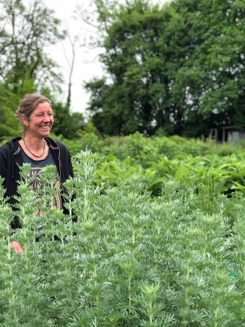 5 Minutes With: Sarah Weston from Organic Herb Trading